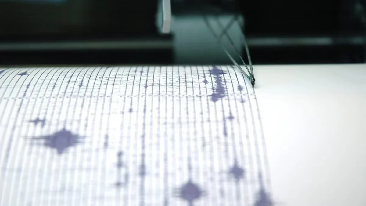 Cutremur foarte puternic, în imagine un seismograf