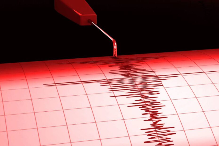 Cutremur foarte puternic, în imagine un seismograf