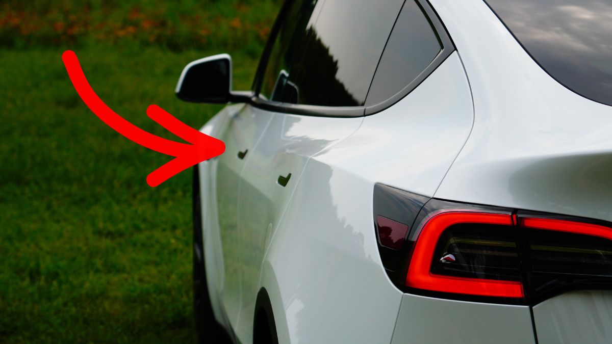 Tesla rechemare China