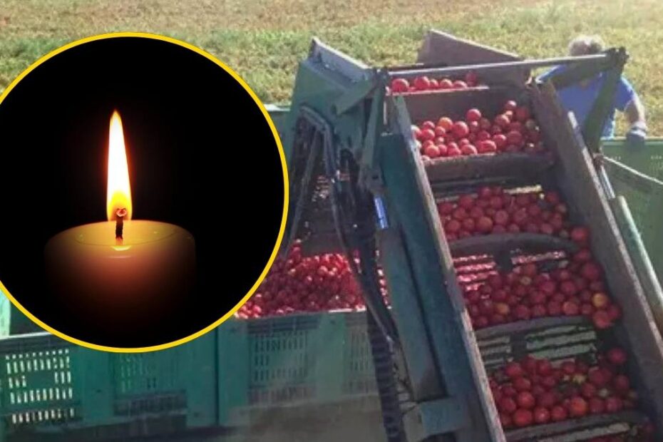 Român de 19 ani, mort în timp ce muncea la 40 de grade în Italia