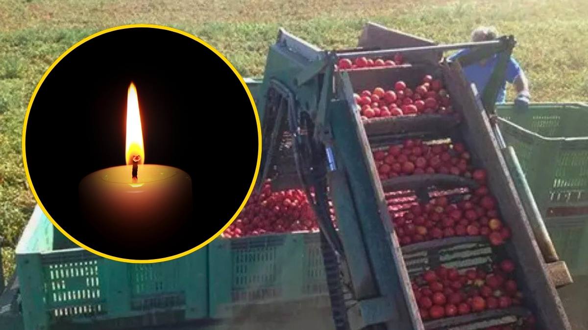 Român de 19 ani, mort în timp ce muncea la 40 de grade în Italia